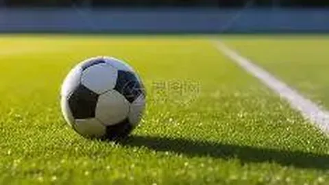 王治郅NBA生涯5年终获退休金，月收入令人惊叹！