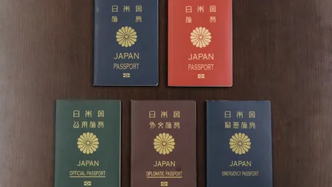 2024赛季美職聯賽積分榜排行榜